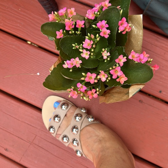 Sandal - Picture 5 of 6